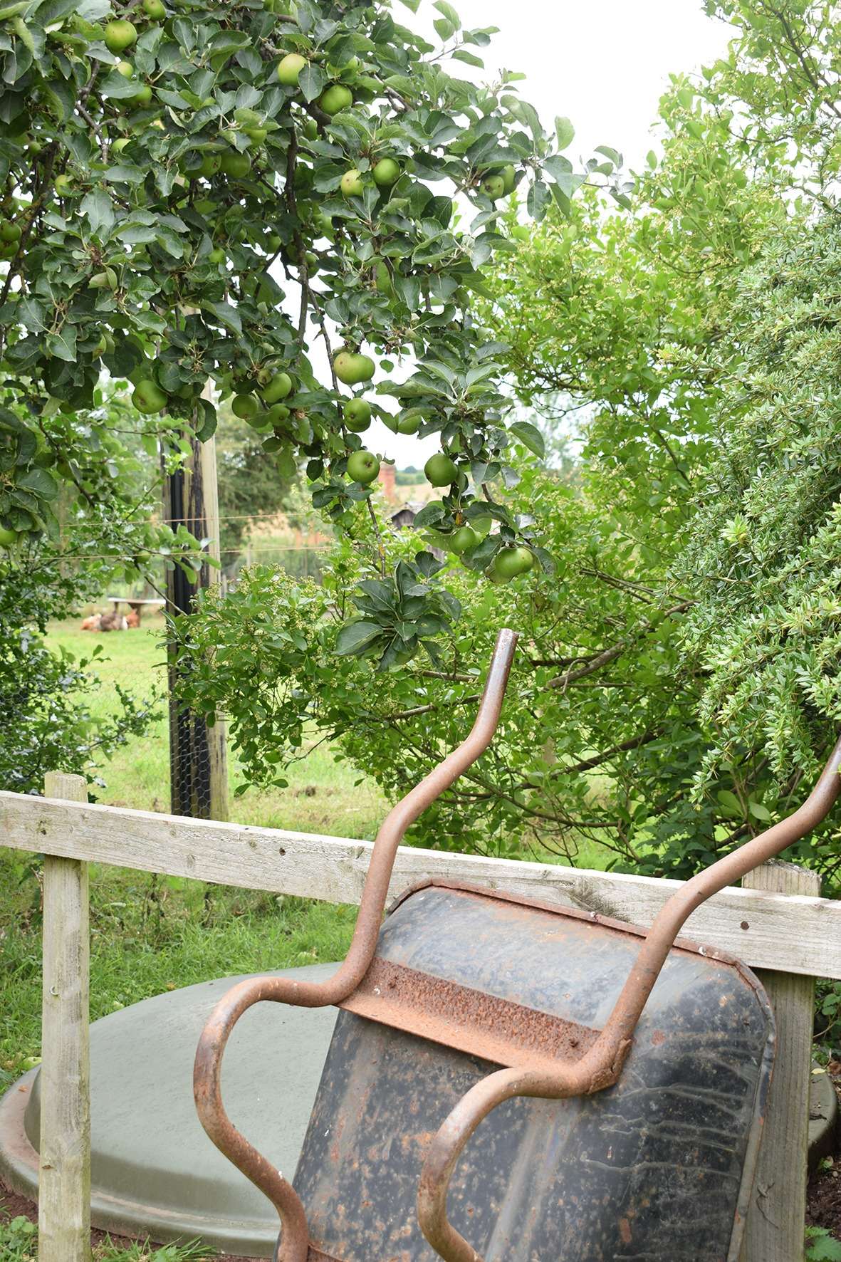 Wheelbarrow