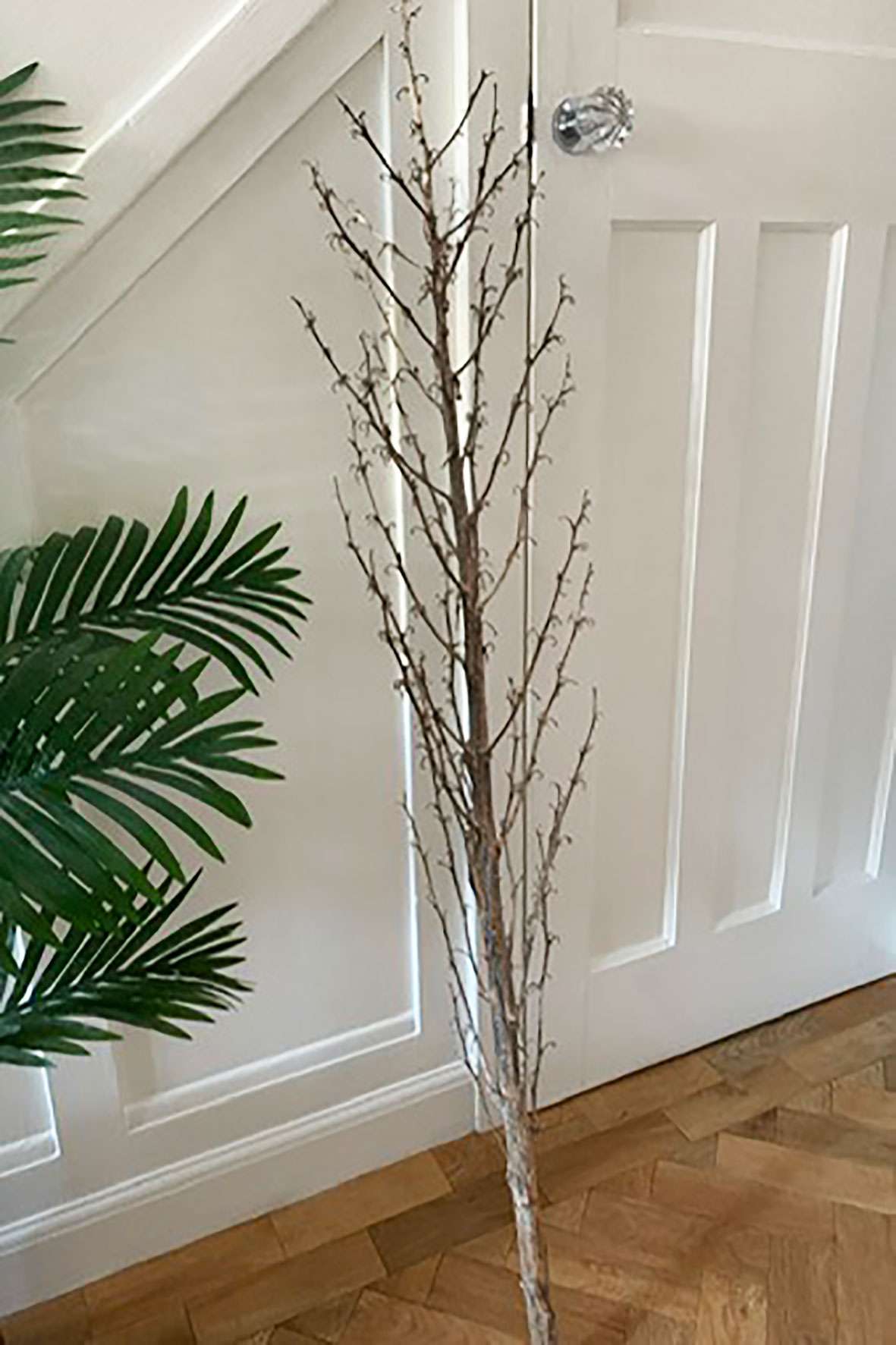 yucca flower spike branch leaning against stairway.