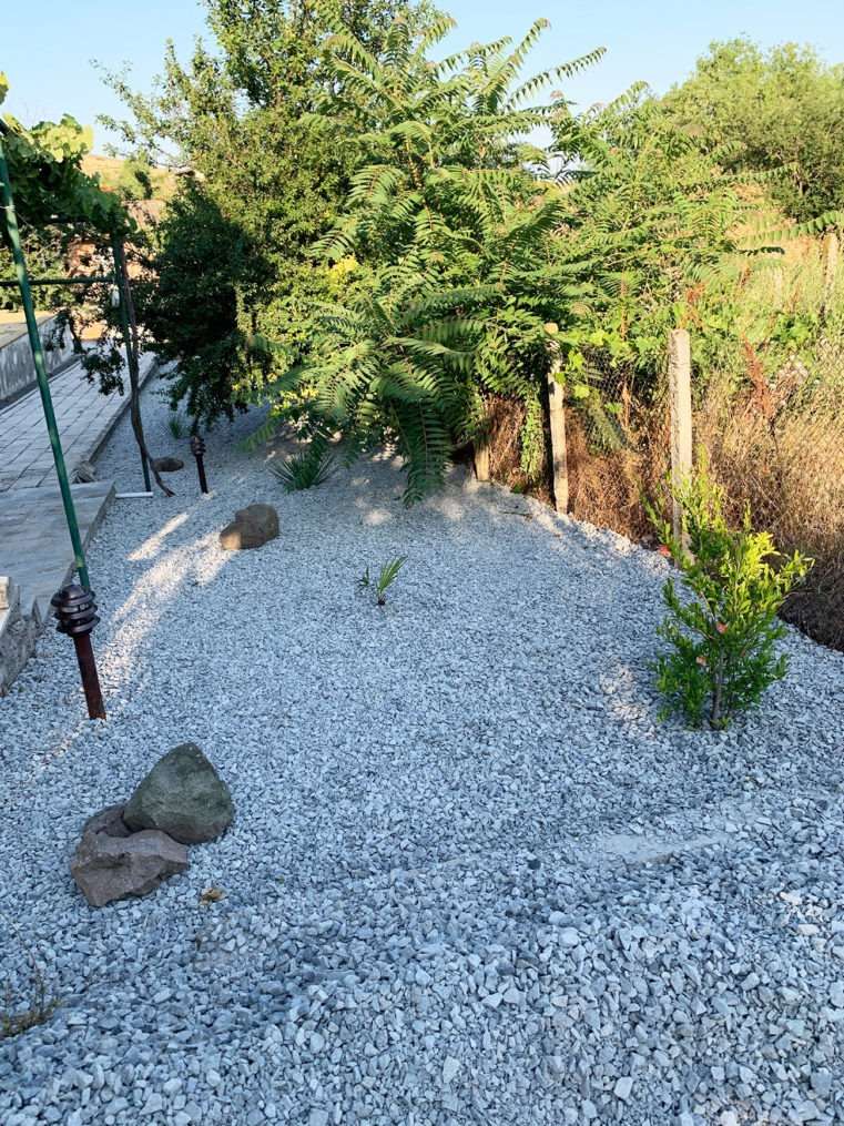 garden with trees and stone landscaping.