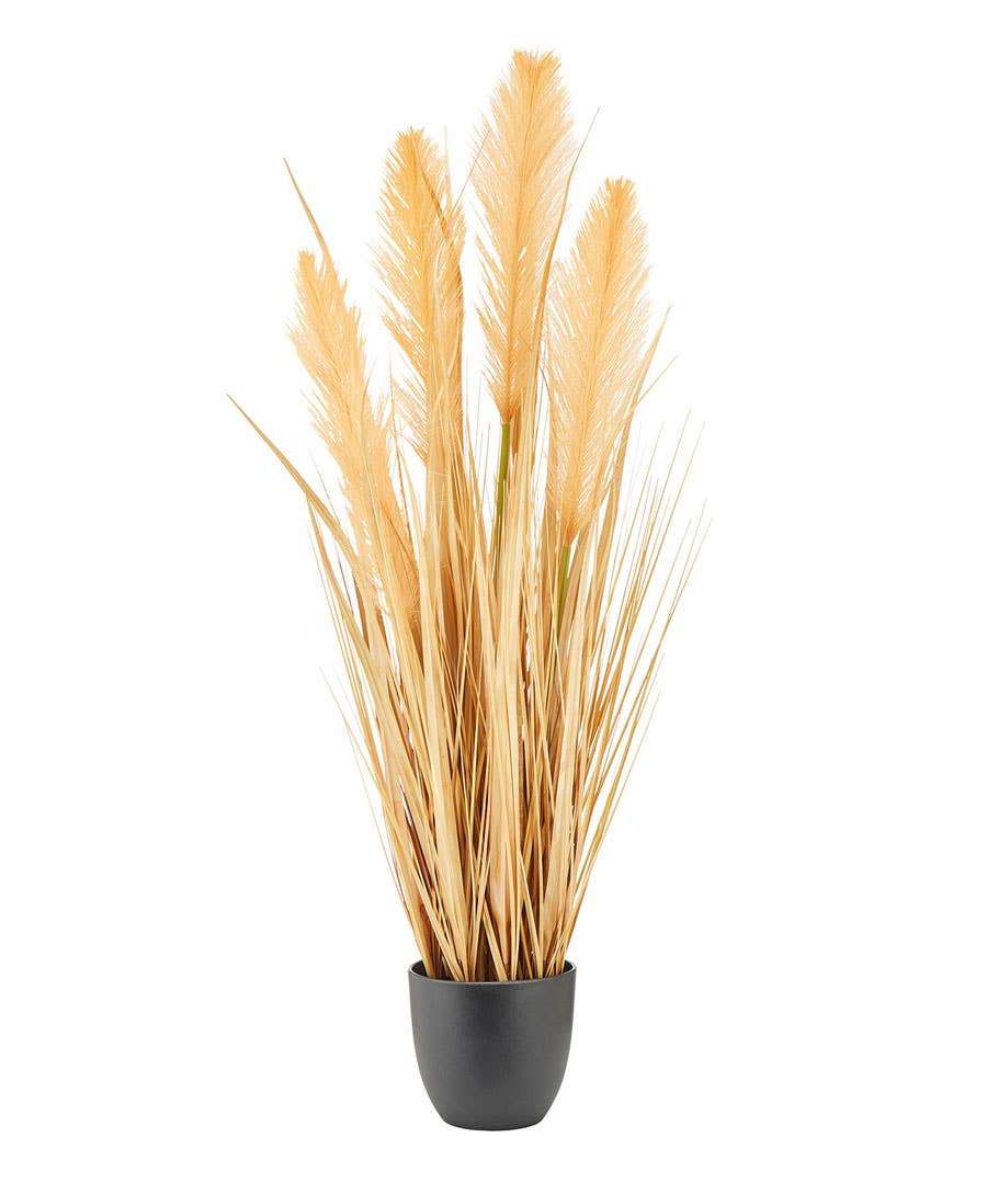 An artificial pampas grass in a black pot on a white background.